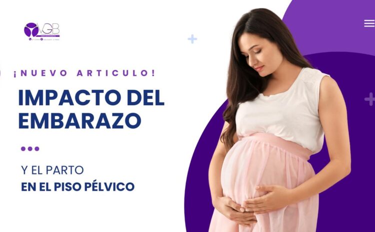 Impacto del embarazo y el parto en el piso pélvico: prevención y recuperación 🤰🔄